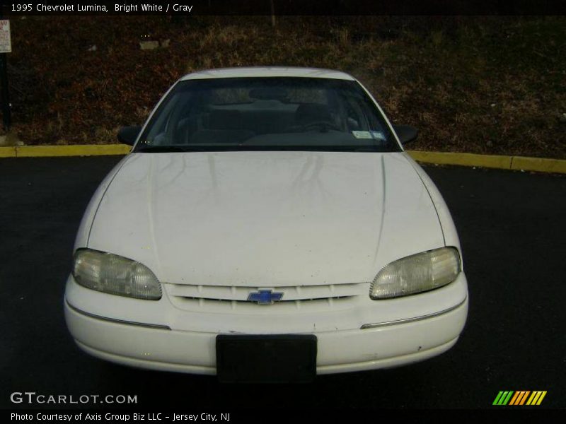 Bright White / Gray 1995 Chevrolet Lumina