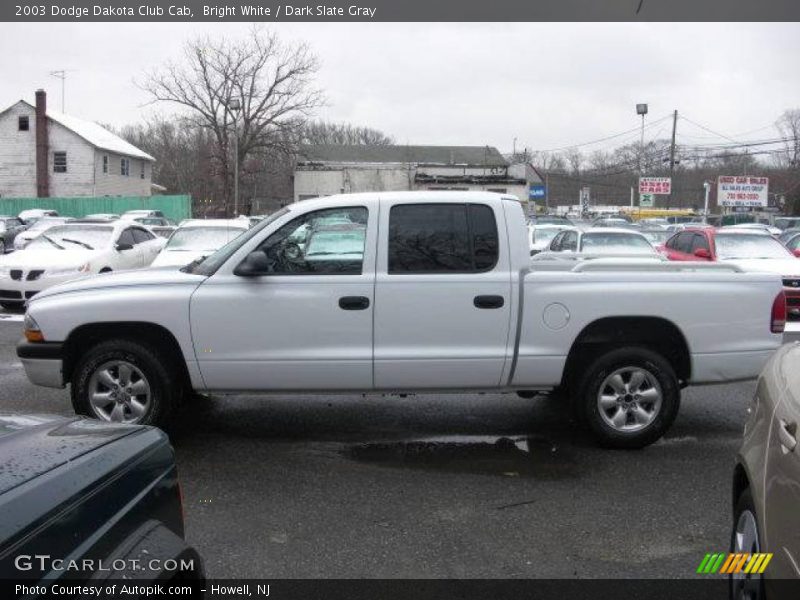 Bright White / Dark Slate Gray 2003 Dodge Dakota Club Cab