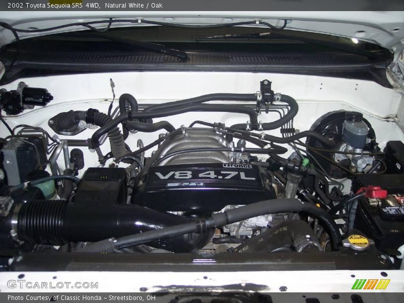 Natural White / Oak 2002 Toyota Sequoia SR5 4WD