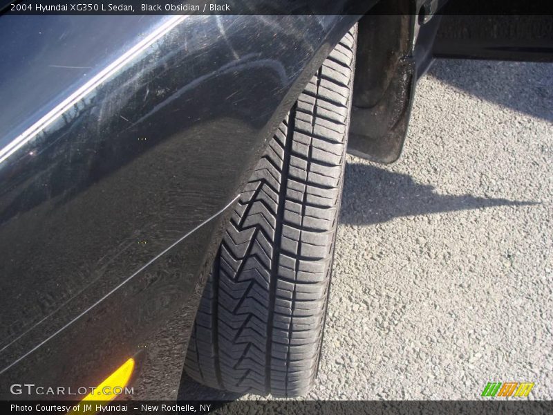 Black Obsidian / Black 2004 Hyundai XG350 L Sedan