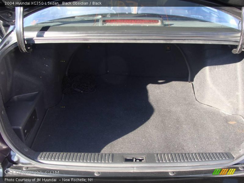 Black Obsidian / Black 2004 Hyundai XG350 L Sedan