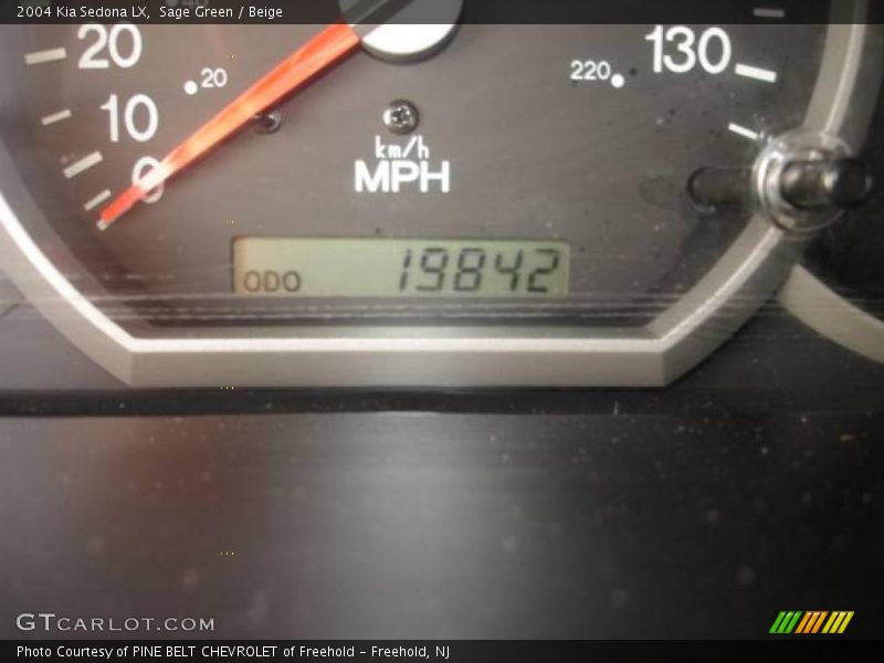 Sage Green / Beige 2004 Kia Sedona LX