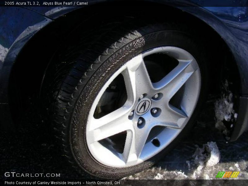 Abyss Blue Pearl / Camel 2005 Acura TL 3.2