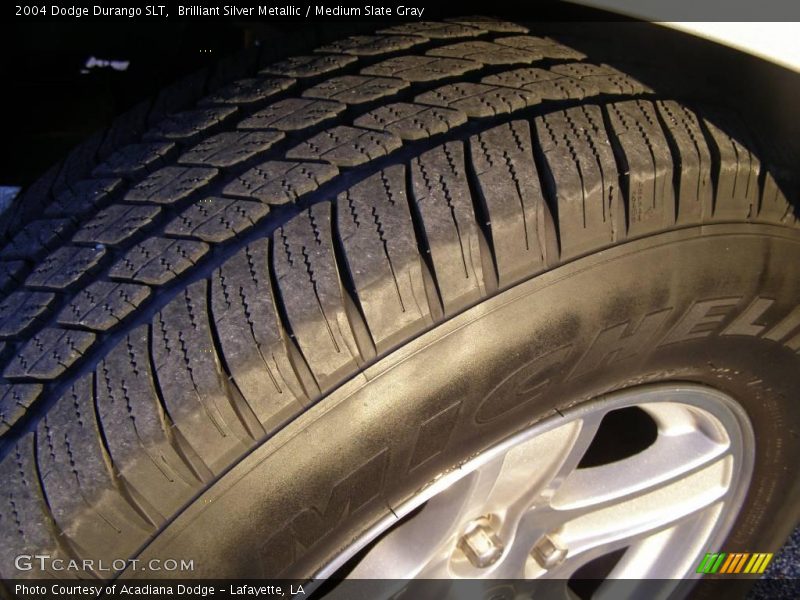 Brilliant Silver Metallic / Medium Slate Gray 2004 Dodge Durango SLT