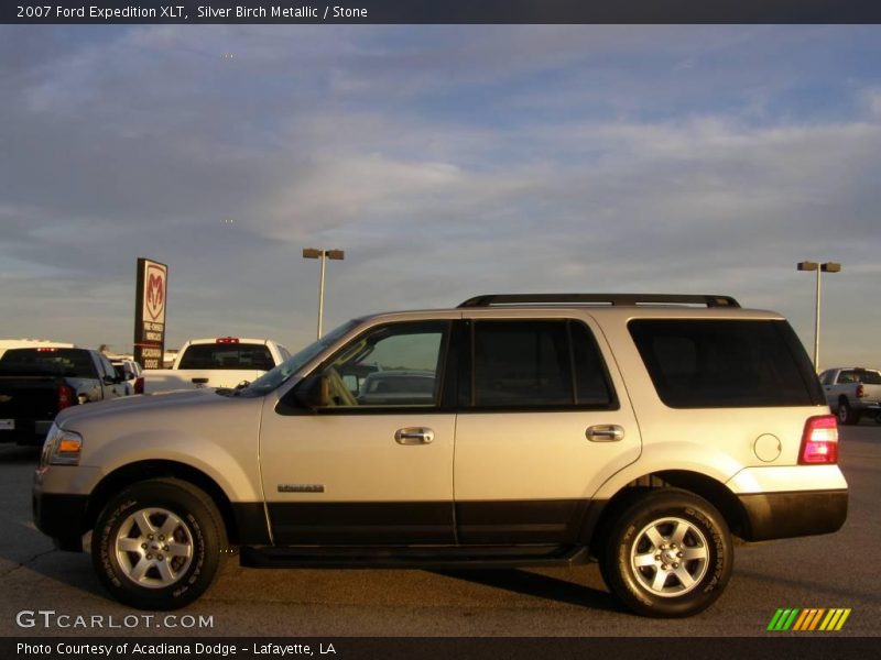 Silver Birch Metallic / Stone 2007 Ford Expedition XLT