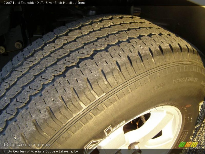 Silver Birch Metallic / Stone 2007 Ford Expedition XLT
