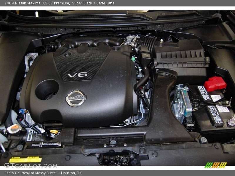 Super Black / Caffe Latte 2009 Nissan Maxima 3.5 SV Premium