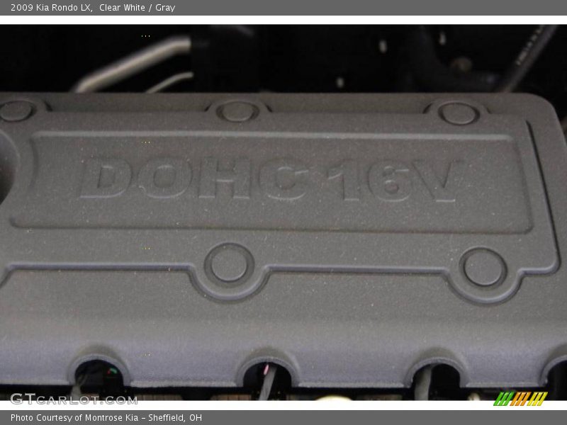 Clear White / Gray 2009 Kia Rondo LX