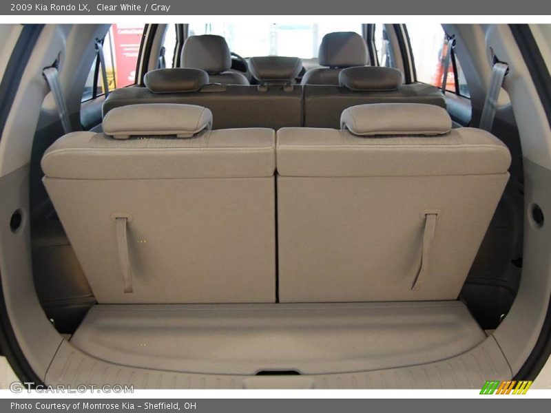 Clear White / Gray 2009 Kia Rondo LX