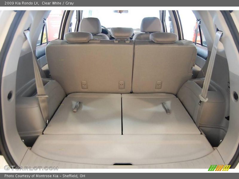 Clear White / Gray 2009 Kia Rondo LX