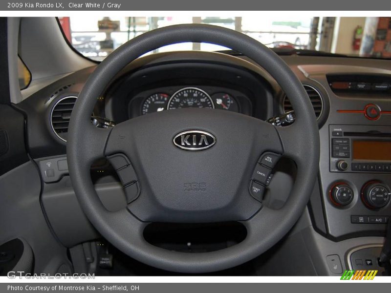 Clear White / Gray 2009 Kia Rondo LX