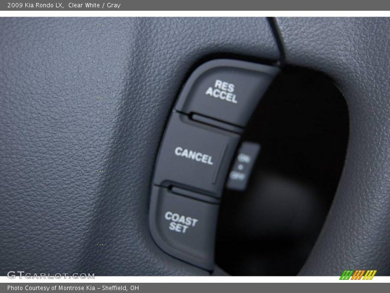 Clear White / Gray 2009 Kia Rondo LX