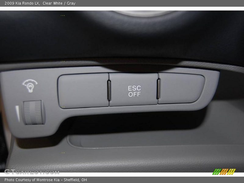 Clear White / Gray 2009 Kia Rondo LX