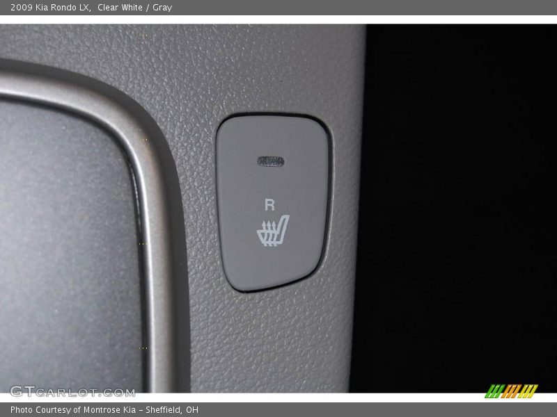 Clear White / Gray 2009 Kia Rondo LX