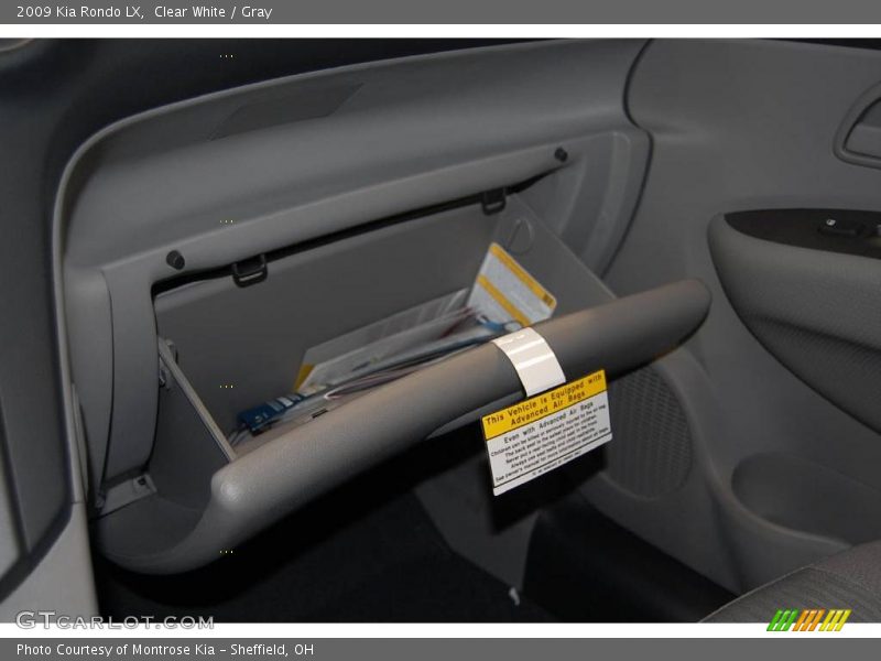 Clear White / Gray 2009 Kia Rondo LX