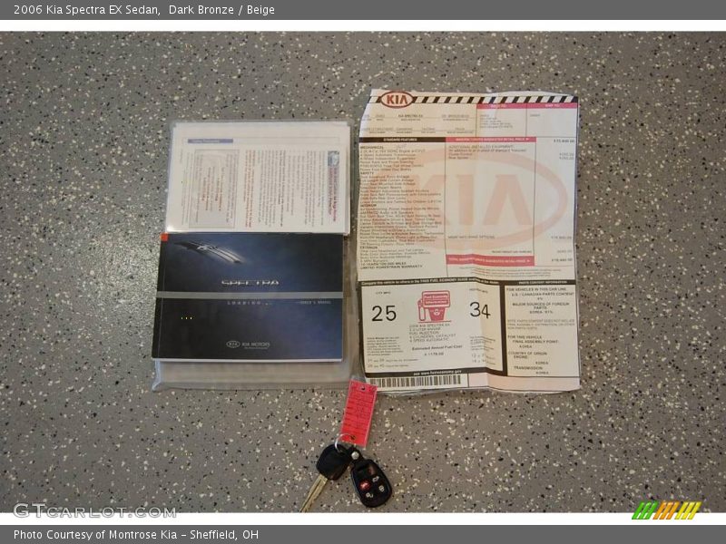 Dark Bronze / Beige 2006 Kia Spectra EX Sedan