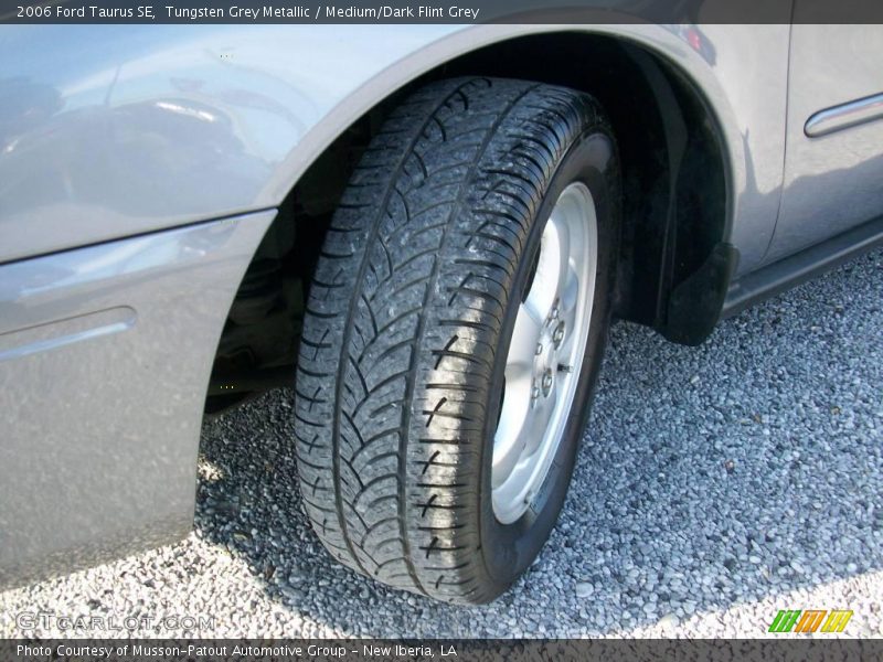 Tungsten Grey Metallic / Medium/Dark Flint Grey 2006 Ford Taurus SE