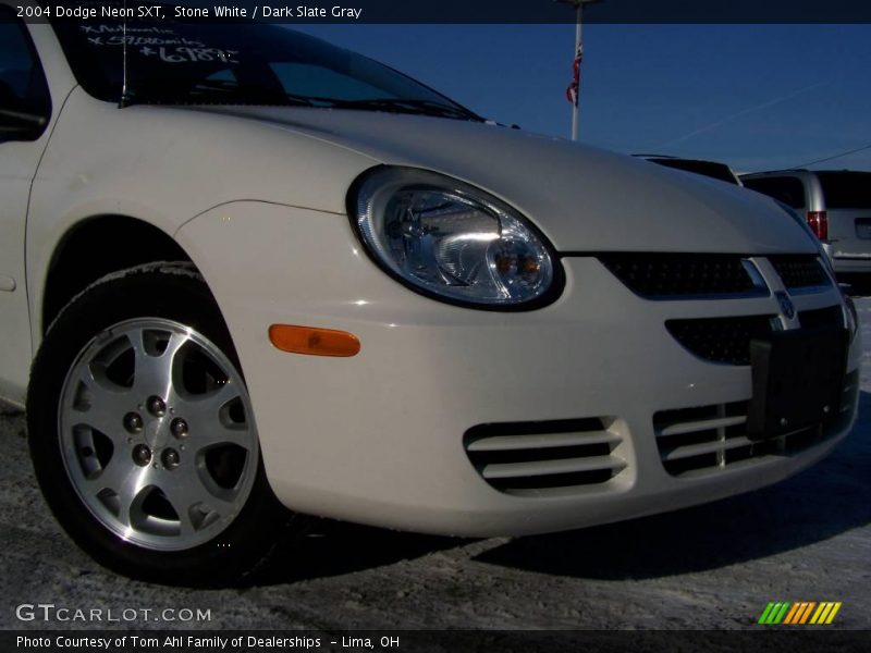 Stone White / Dark Slate Gray 2004 Dodge Neon SXT