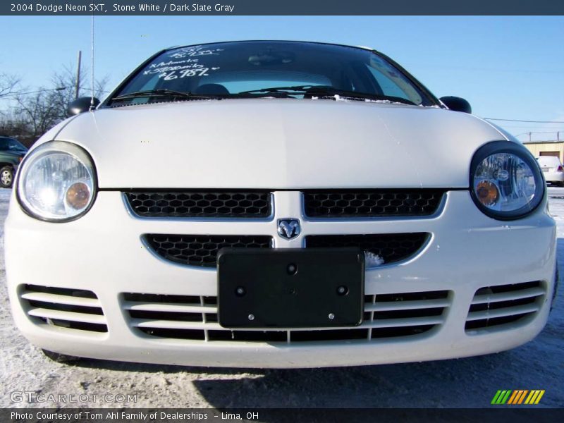 Stone White / Dark Slate Gray 2004 Dodge Neon SXT