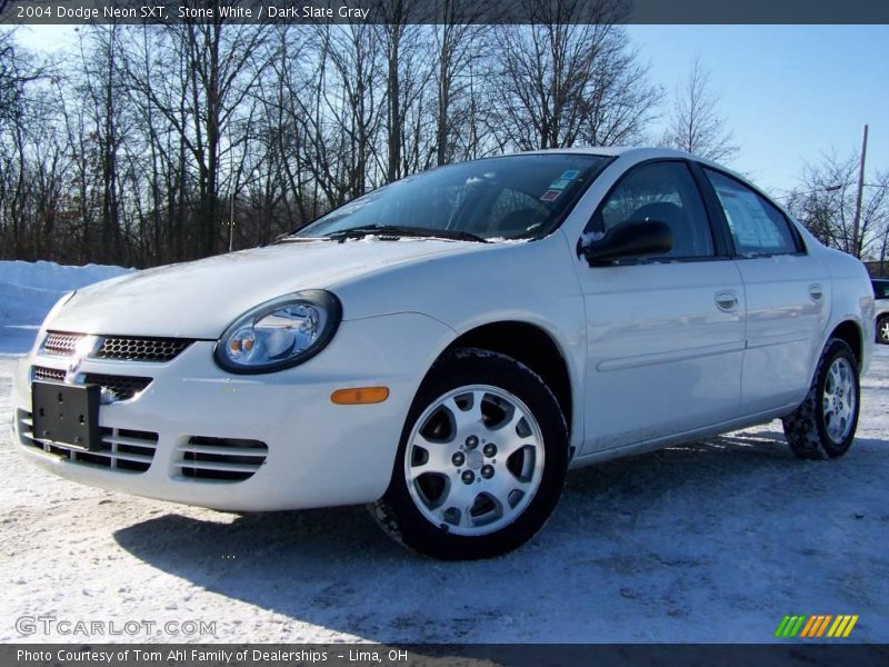 Stone White / Dark Slate Gray 2004 Dodge Neon SXT