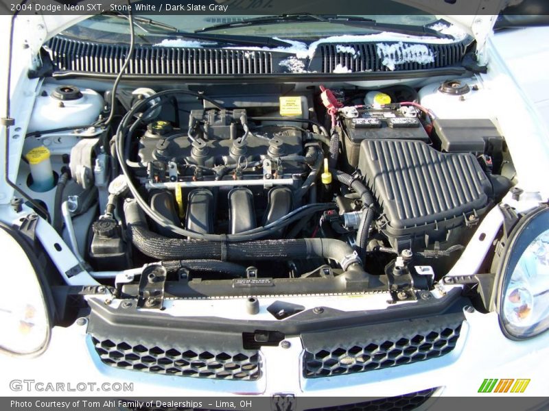 Stone White / Dark Slate Gray 2004 Dodge Neon SXT