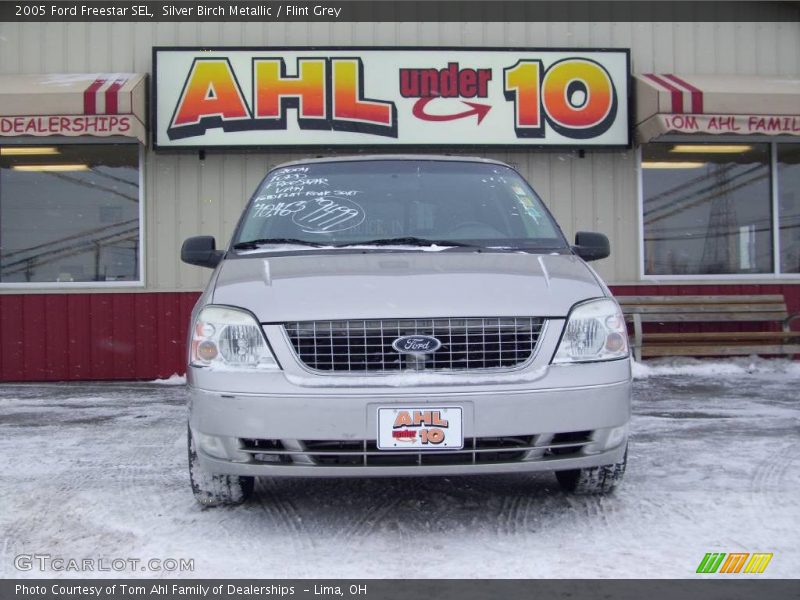 Silver Birch Metallic / Flint Grey 2005 Ford Freestar SEL
