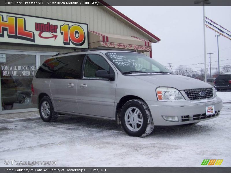 Silver Birch Metallic / Flint Grey 2005 Ford Freestar SEL