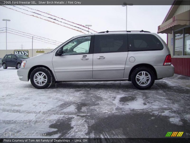 Silver Birch Metallic / Flint Grey 2005 Ford Freestar SEL