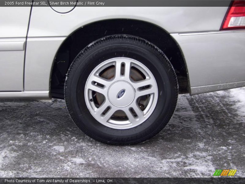 Silver Birch Metallic / Flint Grey 2005 Ford Freestar SEL