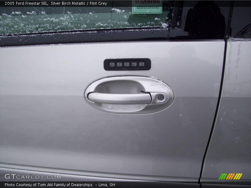 Silver Birch Metallic / Flint Grey 2005 Ford Freestar SEL