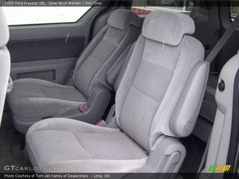 Silver Birch Metallic / Flint Grey 2005 Ford Freestar SEL