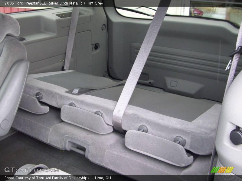 Silver Birch Metallic / Flint Grey 2005 Ford Freestar SEL