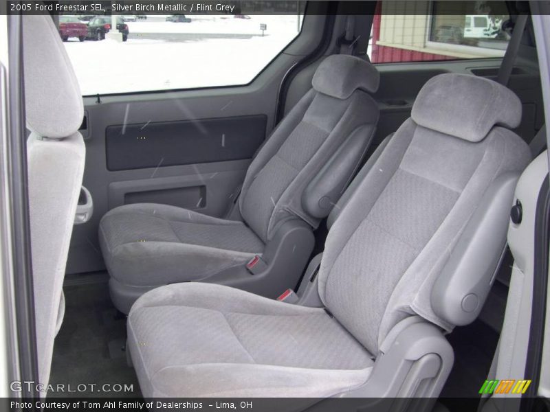 Silver Birch Metallic / Flint Grey 2005 Ford Freestar SEL