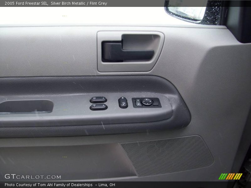 Silver Birch Metallic / Flint Grey 2005 Ford Freestar SEL