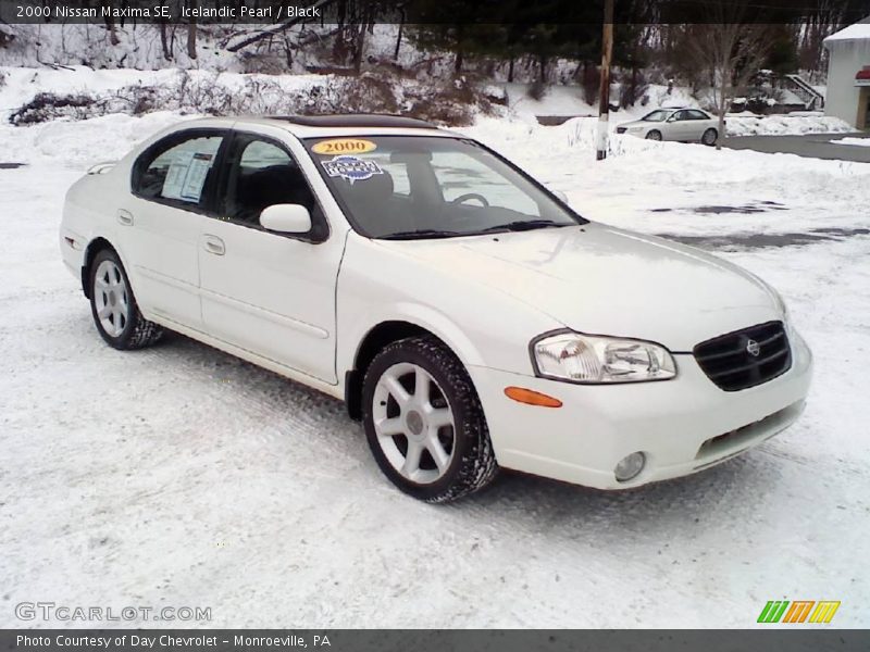 Icelandic Pearl / Black 2000 Nissan Maxima SE