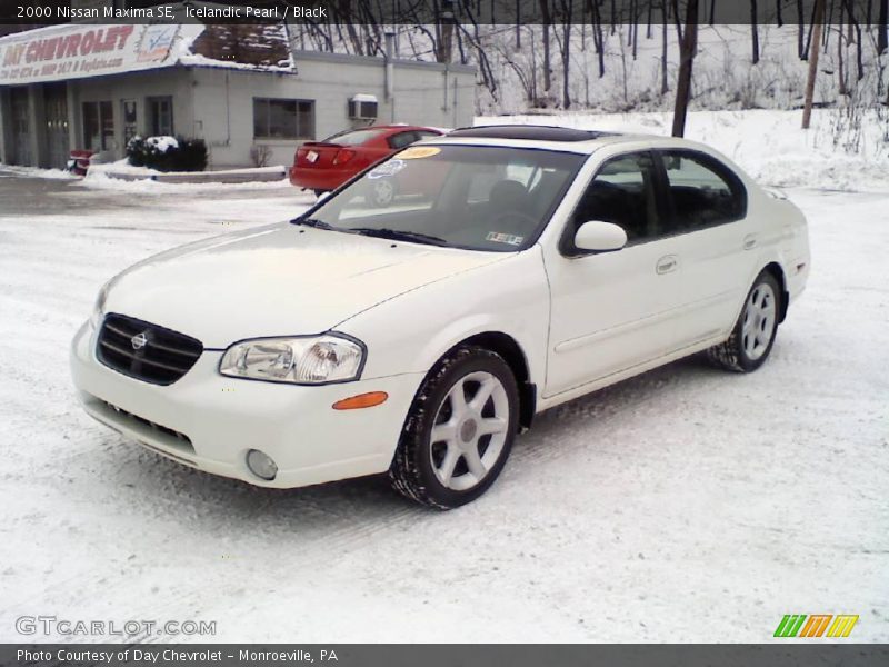 Icelandic Pearl / Black 2000 Nissan Maxima SE
