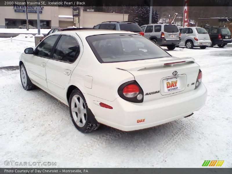 Icelandic Pearl / Black 2000 Nissan Maxima SE