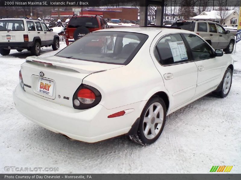 Icelandic Pearl / Black 2000 Nissan Maxima SE