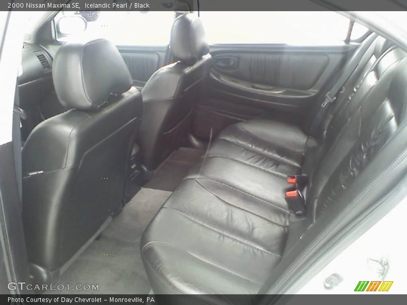 Icelandic Pearl / Black 2000 Nissan Maxima SE