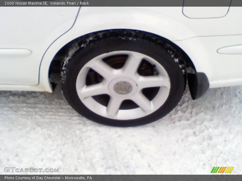 Icelandic Pearl / Black 2000 Nissan Maxima SE