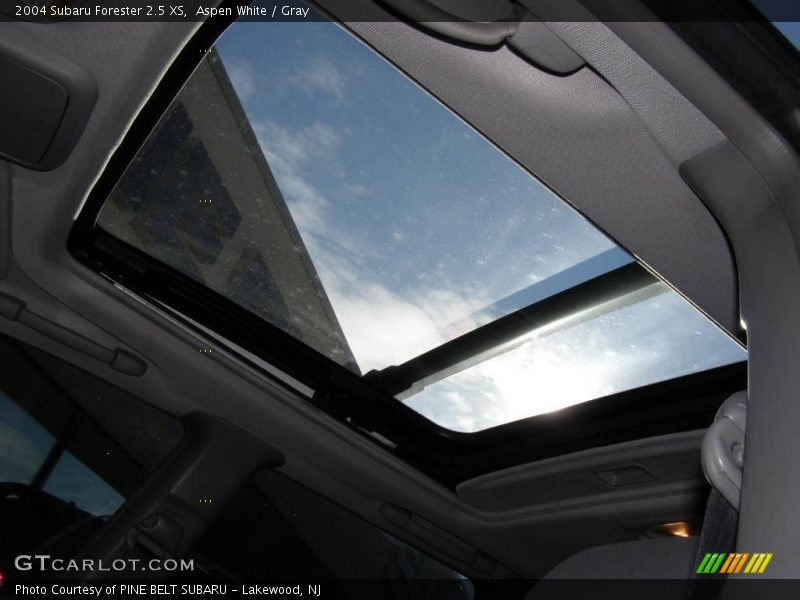 Aspen White / Gray 2004 Subaru Forester 2.5 XS