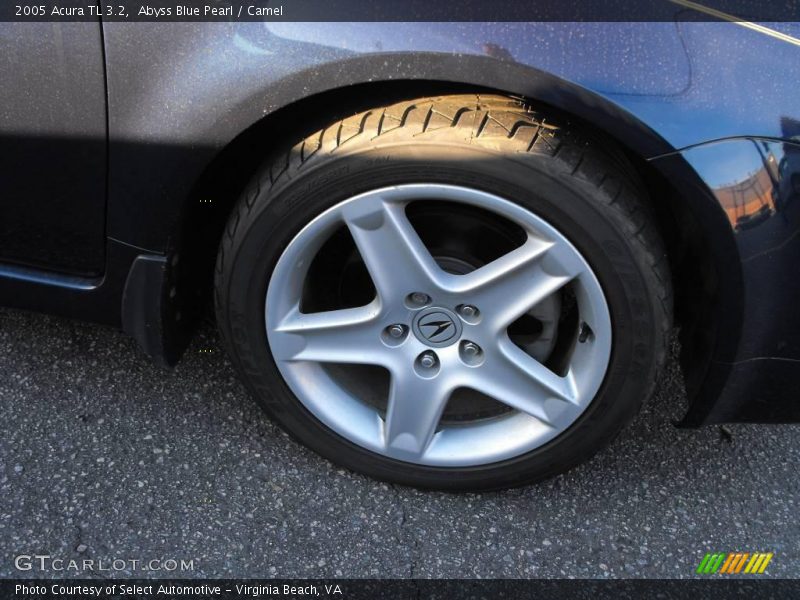 Abyss Blue Pearl / Camel 2005 Acura TL 3.2