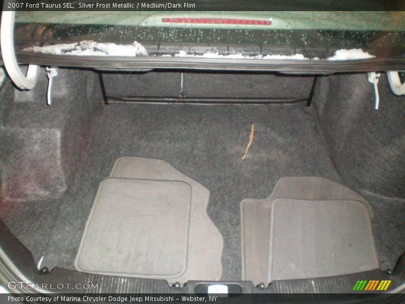 Silver Frost Metallic / Medium/Dark Flint 2007 Ford Taurus SEL