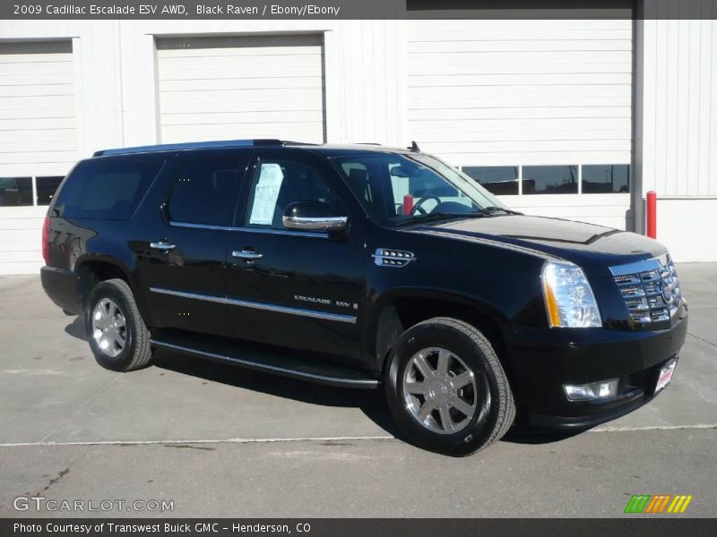 Black Raven / Ebony/Ebony 2009 Cadillac Escalade ESV AWD