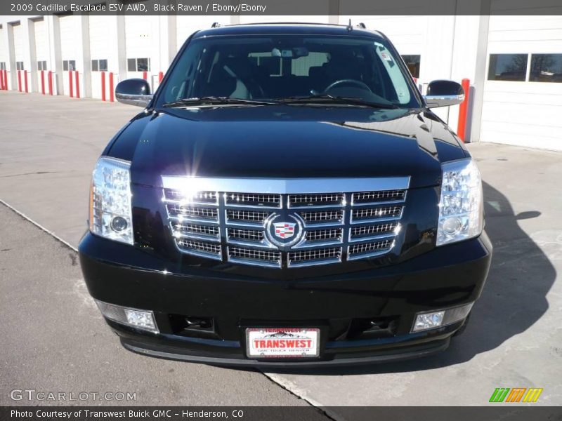 Black Raven / Ebony/Ebony 2009 Cadillac Escalade ESV AWD