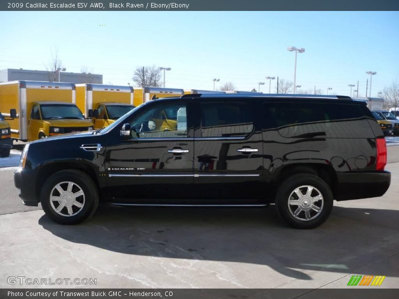 Black Raven / Ebony/Ebony 2009 Cadillac Escalade ESV AWD