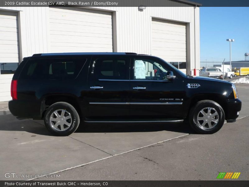 Black Raven / Ebony/Ebony 2009 Cadillac Escalade ESV AWD