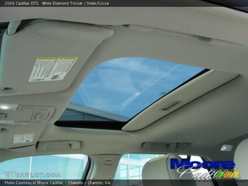 White Diamond Tricoat / Shale/Cocoa 2009 Cadillac DTS