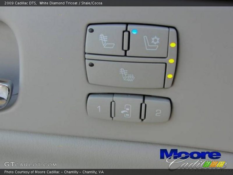 White Diamond Tricoat / Shale/Cocoa 2009 Cadillac DTS