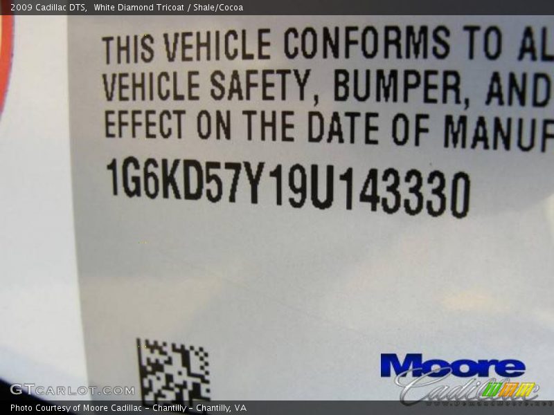 White Diamond Tricoat / Shale/Cocoa 2009 Cadillac DTS